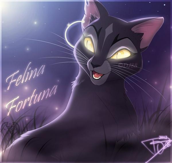 Фото Полина Цветова: Felina Fortuna